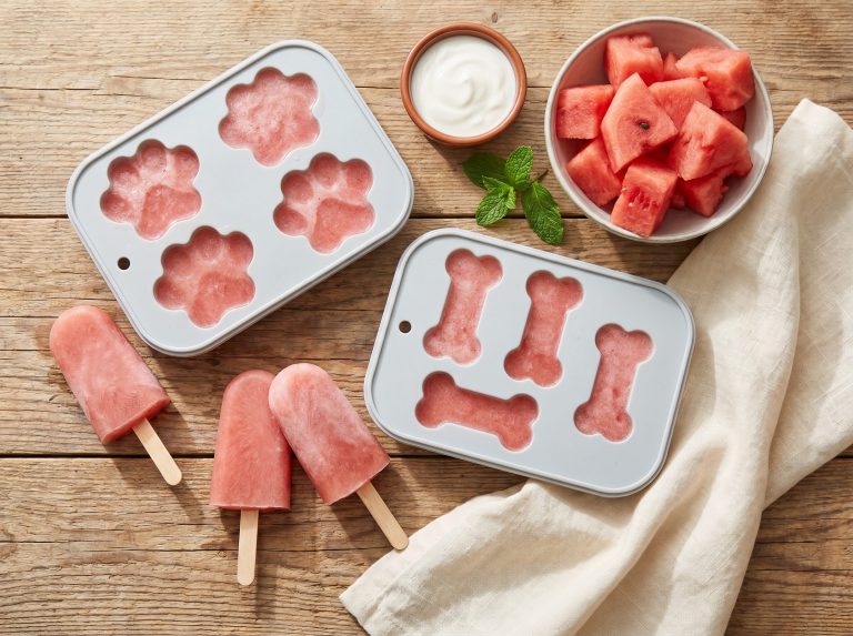 Frozen Watermelon Dog Popsicles